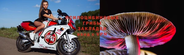 соль курить ск Алексин