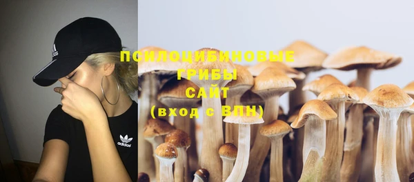 круглые Алзамай