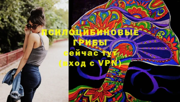 соль курить ск Алексин