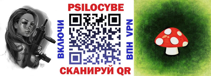 Галлюциногенные грибы Psilocybe где найти наркотики Калининск